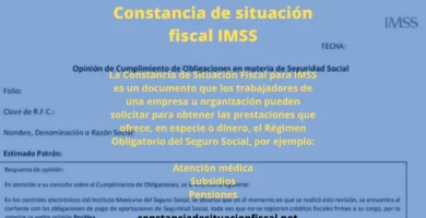 constancia de situaci&oacute;n fiscal IMSS
