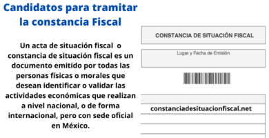 quienes deben sacar la constancia de situación fiscal